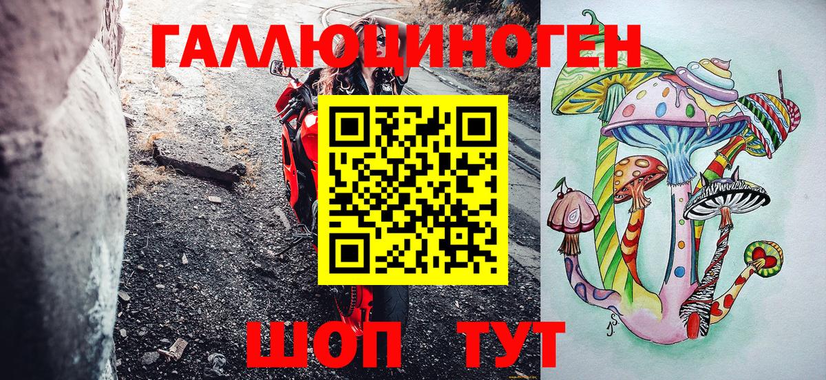 Галлюциногенные грибы GOLDEN TEACHER  Вход с VPN  Киселёвск 